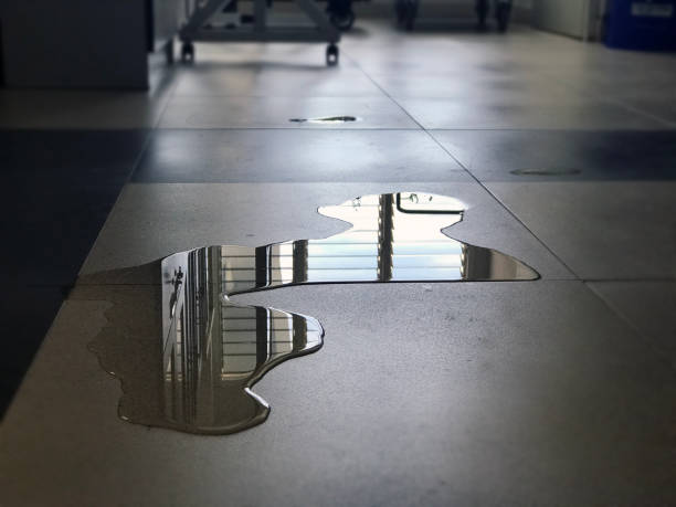 Best Commercial water damage restoration  in Badger, AK