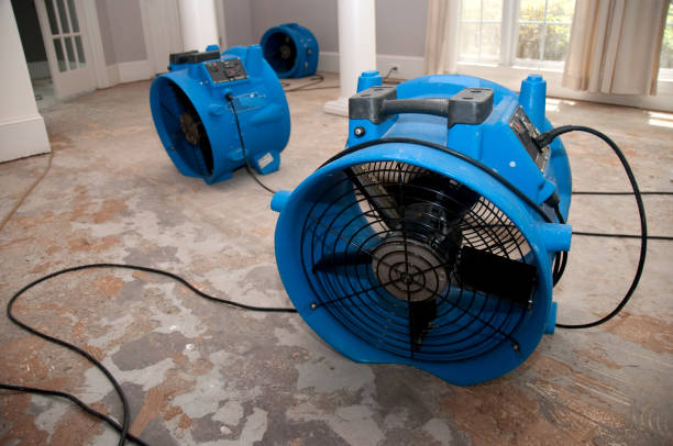Best Water damage restoration near me  in Badger, AK