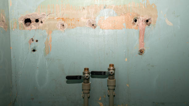 Best Basement water damage restoration  in Badger, AK
