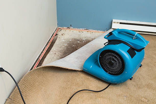Best Flooded house restoration  in Badger, AK